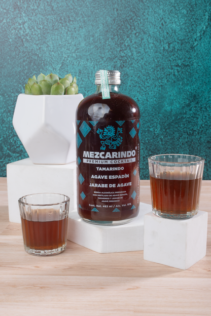 Kit Mezcarindo - Mezcal, Suculenta y Vasos
