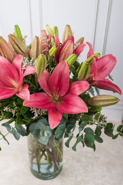 Las Brisas / Lilium Rosa SLP