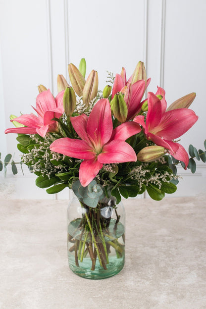 Las Brisas / Lilium Rosa SLP