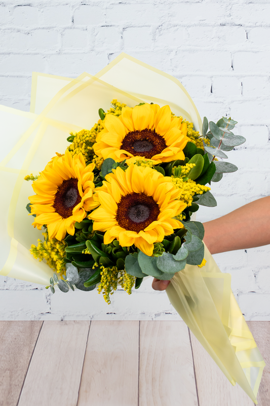 Forelsket / Girasoles 21MFN