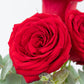 Bella / Tres Rosas Rojas