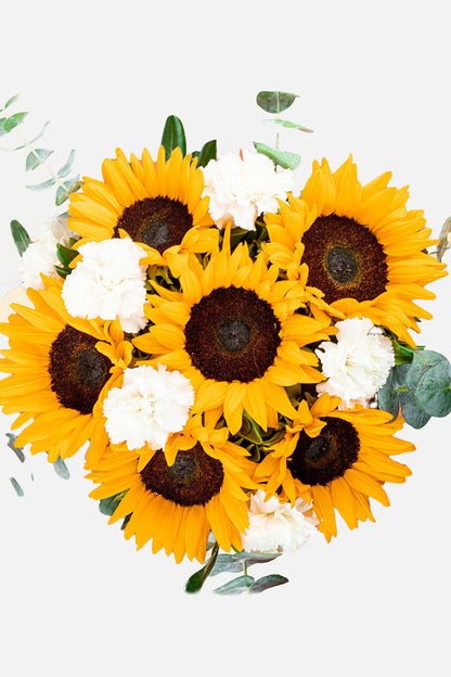 When the Sun Shines / Sunflower and White Carnation LOVE