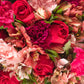 Enamorados / Rosa Roja, Clavel Rosa y Astromelia