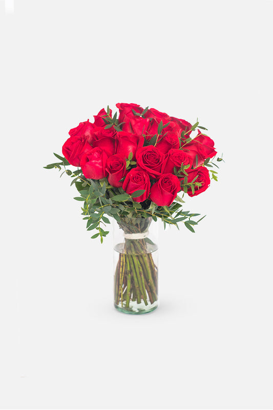 Amor con Rosas / Rosa Roja