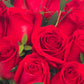 Amor con Rosas / Rosa Roja