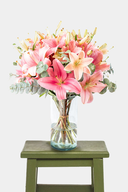 Las Brisas / Lilium Rosa