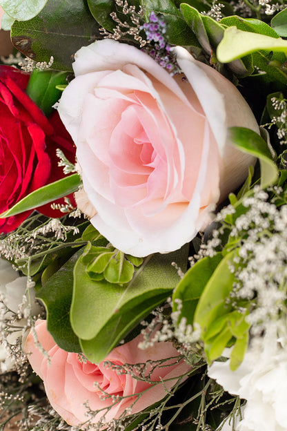 Maria Bonita / Rosa Roja y Clarita