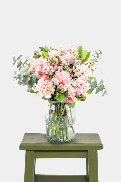 Noche de Verano / Clavel Rosa y Astromelia