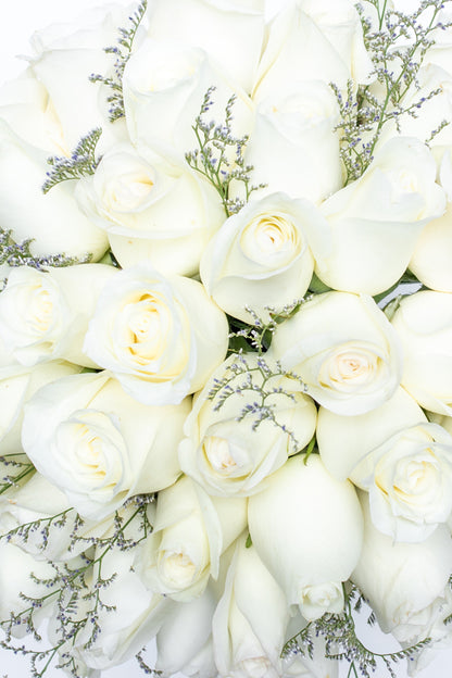 Para Siempre - Rosa Blanca en Pecera GDL